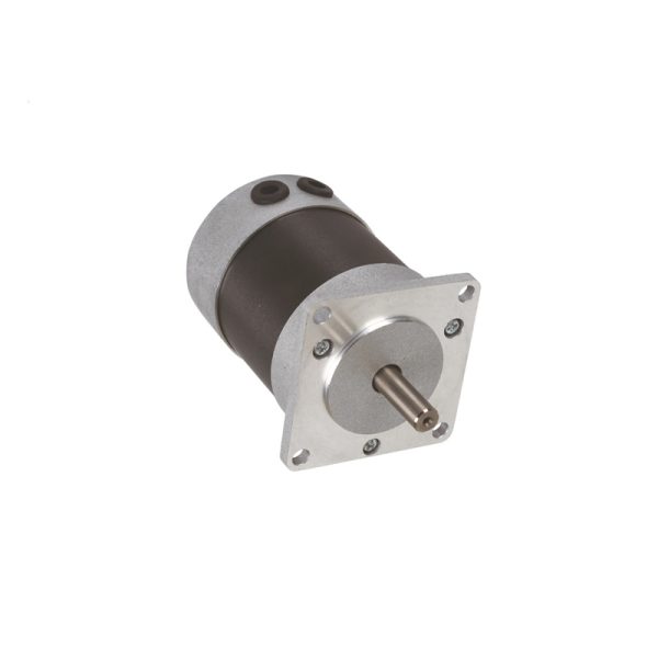 Brush DC MOTOR 5470